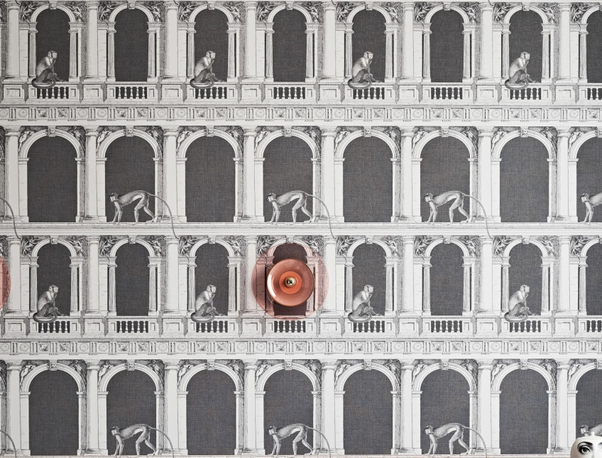 Carte da parati con motivi di scimmie