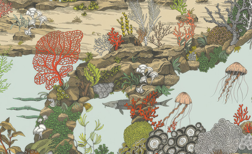 Wallpaper with Marine Animals Wallpaper with Marine Animals