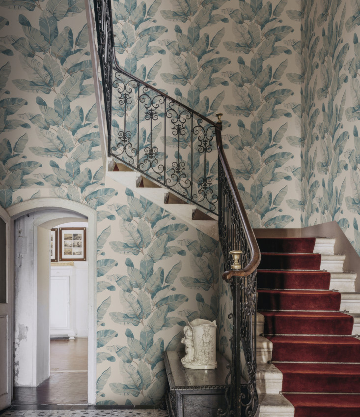 Carte da parati con Palme, giungla e foglie di palma Carte da parati con Palme, giungla e foglie di palma