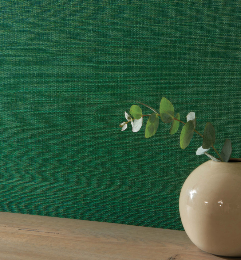Papiers peints naturels avec surfaces en sisal Papiers peints naturels avec surfaces en sisal