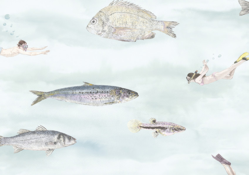 Wallpaper with Animals