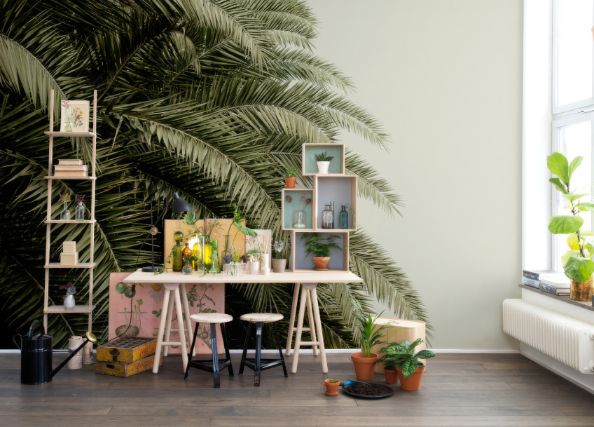 Wall Murals with Soothing reed or forest pattern Wall Murals with Soothing reed or forest pattern