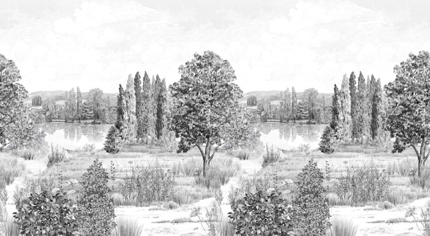 Carte da parati panoramiche con paesaggi e motivi dell’orizzonte