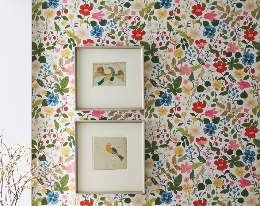 The Best of Rifle Paper Co.