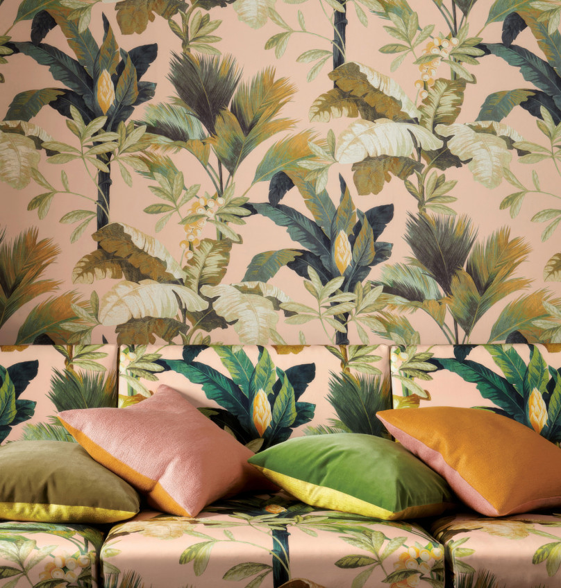 Manuel Canovas Manuel Canovas