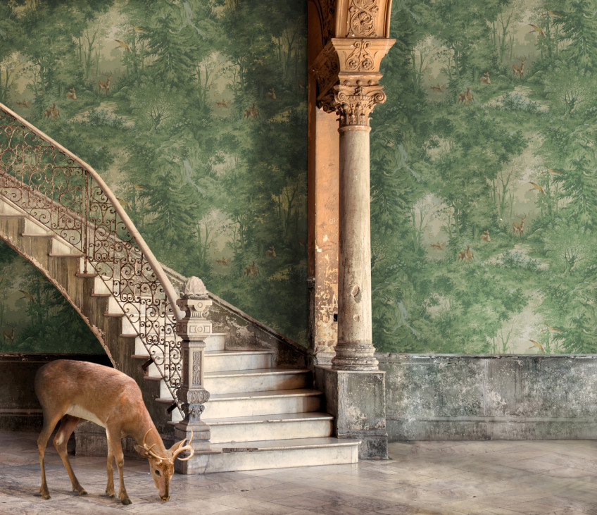 Mulberry Home