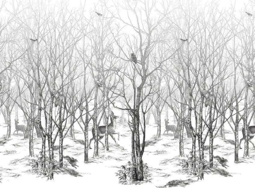 Panoramiques avec des motifs d'animaux Panoramiques avec des motifs d'animaux
