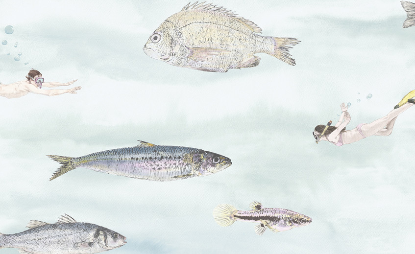 Papiers peints avec des poissons