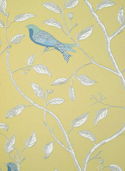 Sanderson Wallpaper Finches-1172 Sanderson Wallpaper Finches-1172