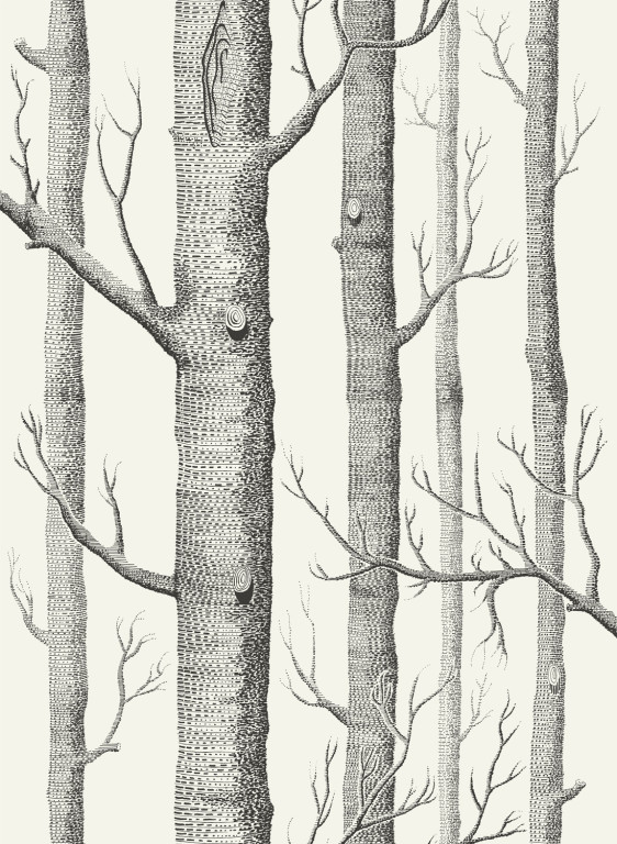 Woods - Designtapete von Cole and Son - Offwhite/ Schwarz-1267.1 Woods - Designtapete von Cole and Son - Offwhite/ Schwarz-1267.1