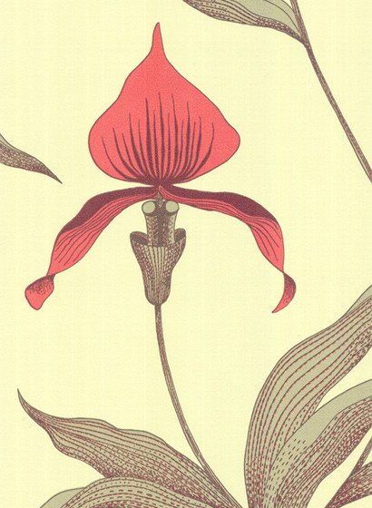 Cole & Son Papier peint Orchid - Hellgrün/ Rotorange-1268.6 Cole & Son Papier peint Orchid - Hellgrün/ Rotorange-1268.6
