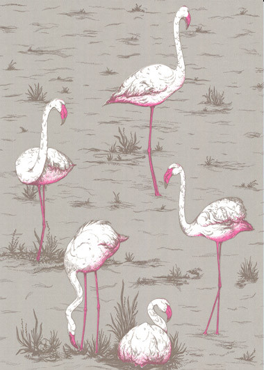 Tapete Flamingos - Designtapete von Cole and Son-1273 Tapete Flamingos - Designtapete von Cole and Son-1273