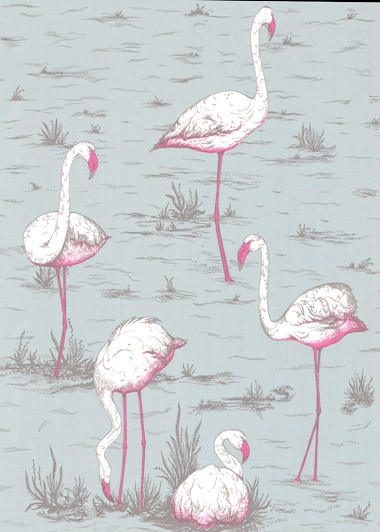 Flamingos - Designtapete von Cole and Son - Helltürkis-1273.2 Flamingos - Designtapete von Cole and Son - Helltürkis-1273.2