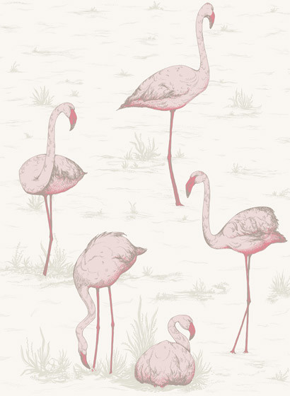 Flamingos - Designtapete von Cole and Son - Pink-1273.3 Flamingos - Designtapete von Cole and Son - Pink-1273.3