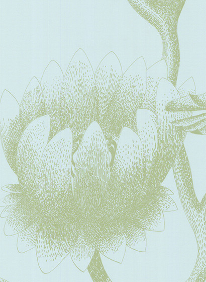 Lily - Designtapete von Cole and Son - Eisblau/ Umbra-1277.2 Lily - Designtapete von Cole and Son - Eisblau/ Umbra-1277.2