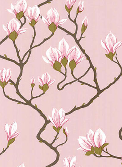 Cole & Son Papier peint Magnolia - altrosa/ zartrosa/ pink-1278.2