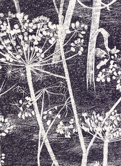 Cole & Son Papier peint Cow Parsley-1280 Cole & Son Papier peint Cow Parsley-1280