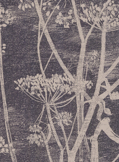 Cow Parsley - Designtapete von Cole and Son - Schwarz-1280.2