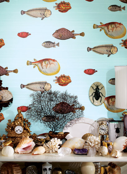 Cole & Son Wallpaper Acquario-1403 Cole & Son Wallpaper Acquario-1403