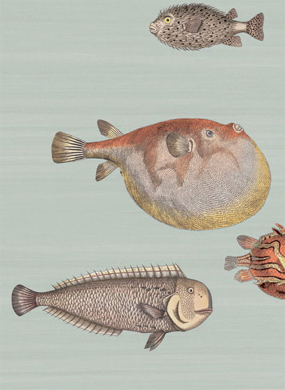 Acquario - Designtapete Cole and Son - Blassblau/ bunt-1403.1 Acquario - Designtapete Cole and Son - Blassblau/ bunt-1403.1