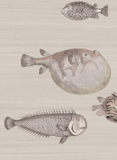 Acquario - Designtapete von Cole and Son - Softbeige-1403.2 Acquario - Designtapete von Cole and Son - Softbeige-1403.2