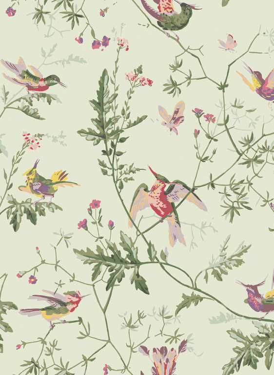 Cole & Son Wallpaper Hummingbirds - Multi/ Old Olive on Eau Du Nil-14737.11 Cole & Son Wallpaper Hummingbirds - Multi/ Old Olive on Eau Du Nil-14737.11