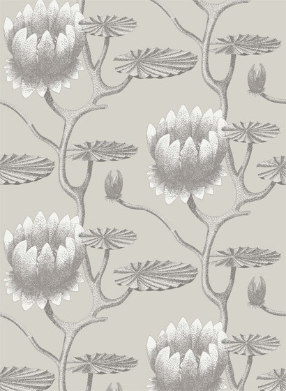 Summer Lily - Designtapete von Cole & Son - Taupe and White-1473.4 Summer Lily - Designtapete von Cole & Son - Taupe and White-1473.4