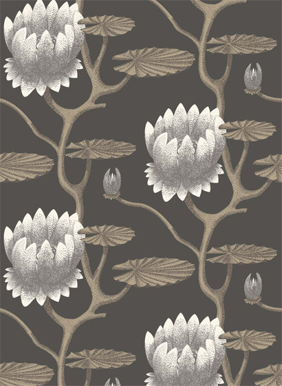 Summer Lily - Designtapete von Cole & Son - Black and Gilver-1473.5 Summer Lily - Designtapete von Cole & Son - Black and Gilver-1473.5