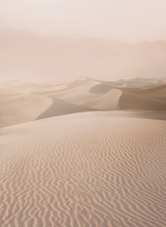 Armani Casa Papier peint panoramique Gibran-14754 Armani Casa Papier peint panoramique Gibran-14754