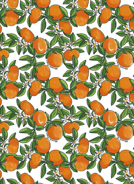 Jannelli & Volpi Tapete Tangerine-14780 Jannelli & Volpi Tapete Tangerine-14780