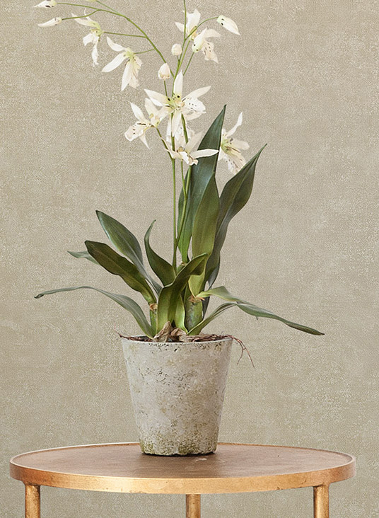 Jannelli & Volpi Wallpaper Unito Airone-14817 Jannelli & Volpi Wallpaper Unito Airone-14817