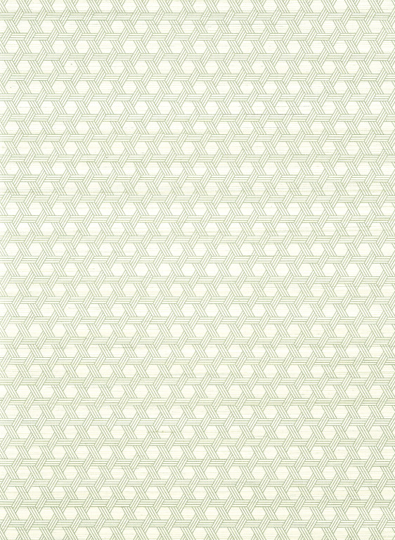 Thibaut Carta da parati Pergola-14885