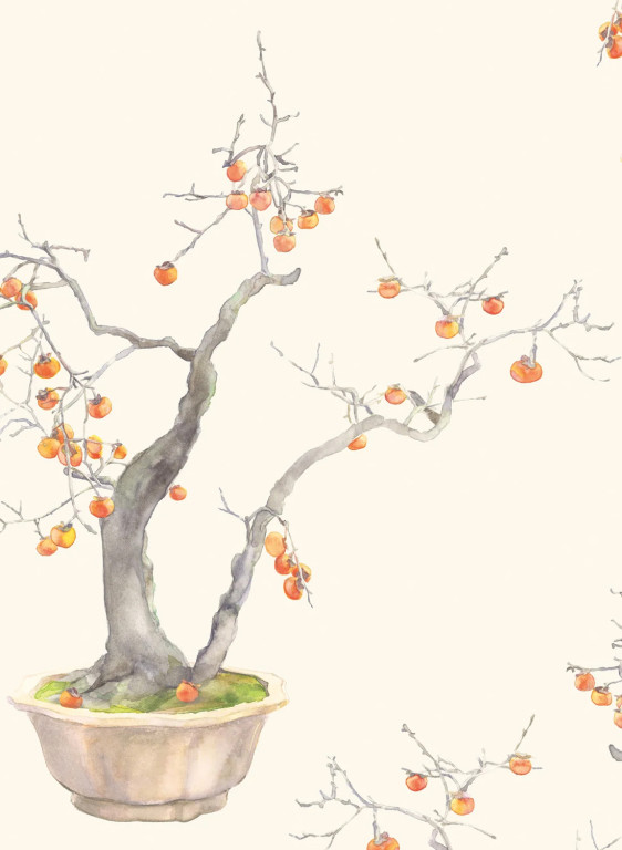 Cole & Son Carta da parati Kaki Persimmon-14914 Cole & Son Carta da parati Kaki Persimmon-14914