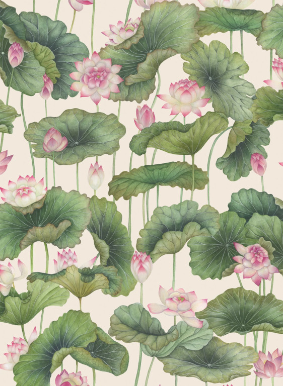 Cole & Son Papier peint Lily Lotus-14921