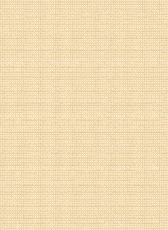 Cole & Son Papier peint Textures-14925