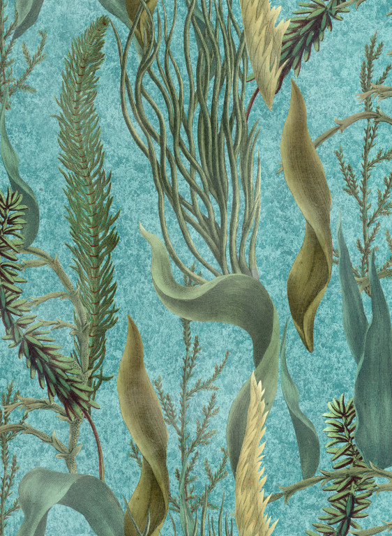 Mindthegap Papier peint Aquatic Plants-14955 Mindthegap Papier peint Aquatic Plants-14955