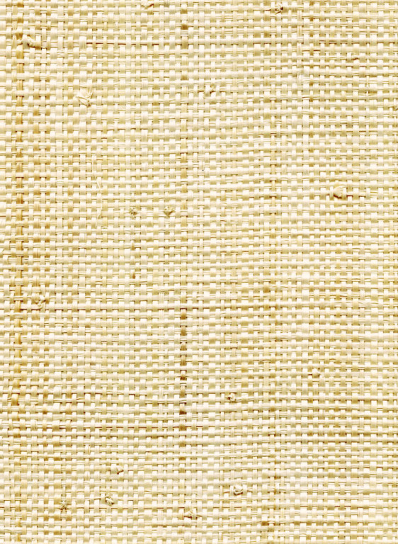 CMO Paris Wallpaper Raphia Naturel-15238 CMO Paris Wallpaper Raphia Naturel-15238