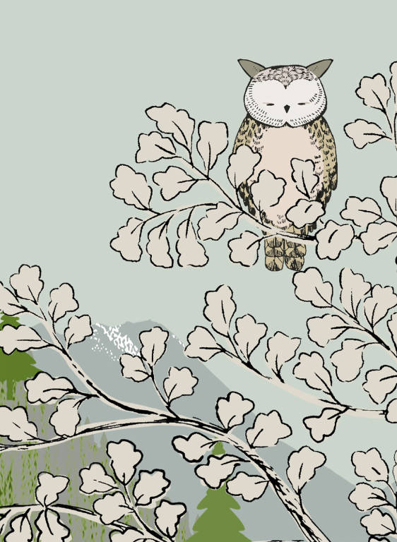 Isidore Leroy Carta da parati panoramica Coucou Hibou-15283