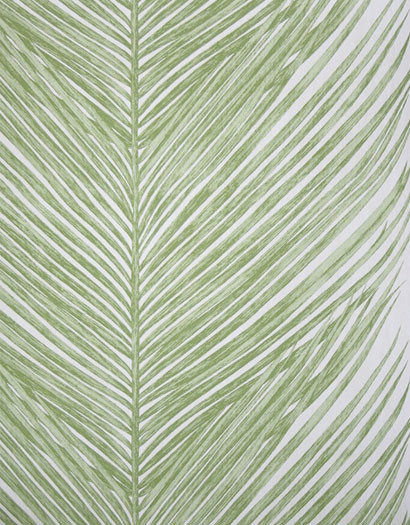 Tapete Mey Fern von Osborne & Little - Green-1572.3 Tapete Mey Fern von Osborne & Little - Green-1572.3