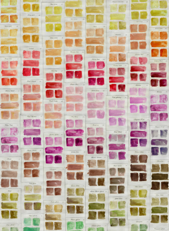 Mindthegap Wallpaper Palette-16031 Mindthegap Wallpaper Palette-16031