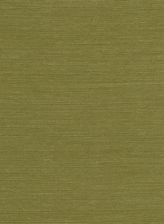 Arte International Papier peint Agave-16059 Arte International Papier peint Agave-16059