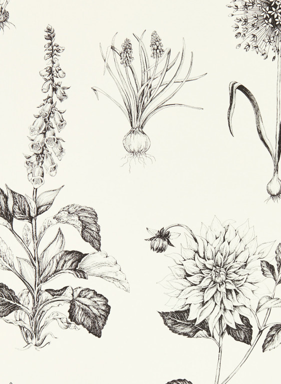 Clarke & Clarke Tapete Roseraie-16092 Clarke & Clarke Tapete Roseraie-16092