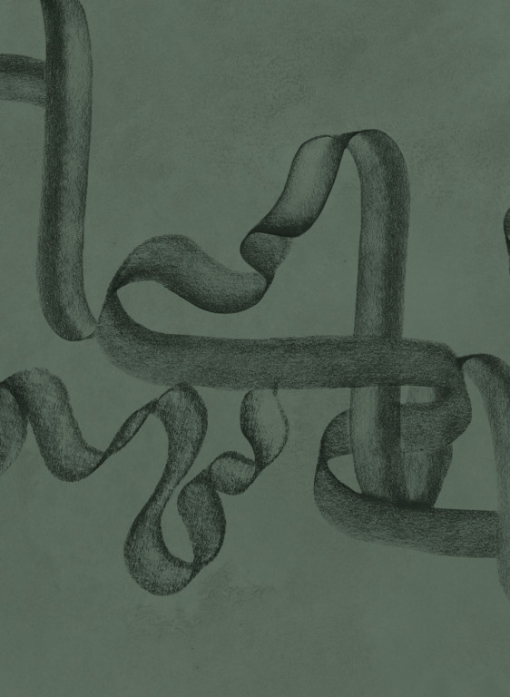 Coordonne Papier peint panoramique Ribbon-16162 Coordonne Papier peint panoramique Ribbon-16162