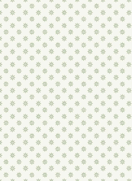 Boråstapeter Tapete Skogsstjärna - 5809-16224.4 Boråstapeter Tapete Skogsstjärna - 5809-16224.4