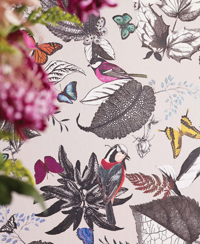 Osborne & Little Wallpaper Bird Song-1625 Osborne & Little Wallpaper Bird Song-1625