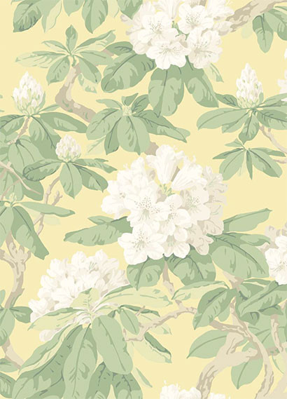 Tapete Bourlie von Cole & Son - Pale Lemon-1633.3 Tapete Bourlie von Cole & Son - Pale Lemon-1633.3