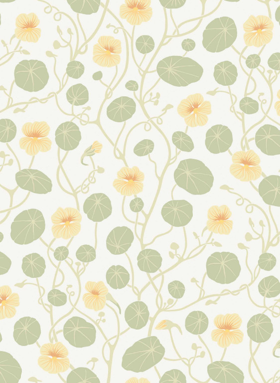 Boråstapeter Wallpaper Krasse-16348