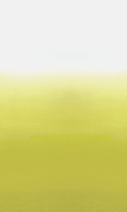 Designers Guild Carta da parati panoramica Saraille-1643