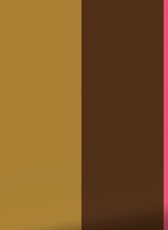 KEK Amsterdam Carta da parati Bold Stripes 1 Uyterlinde-16485