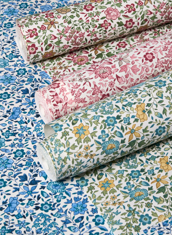 Clarke & Clarke Carta da parati Gamthi-16501